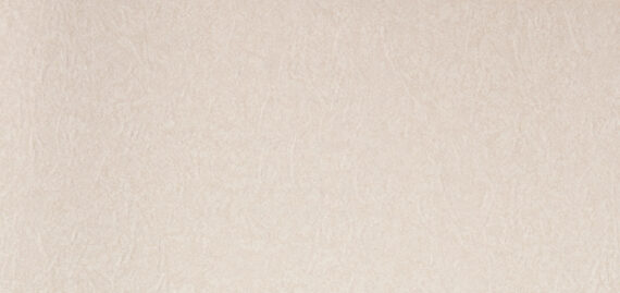PAPEL DE PAREDE - 0,53X10m -  WARSAW - BEGE TEXTURIZADO 204