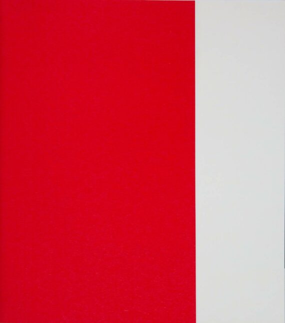 PAPEL DE PAREDE - 0,53X10 - C. SPACE VERMELHO/BRANCO - BANDEIRA 205