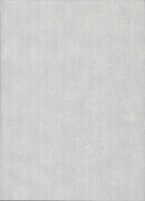 PAPEL DE PAREDE 0,53 X 10m -RAINBOW 7 - CIMENTO CINZA CLARO 604
